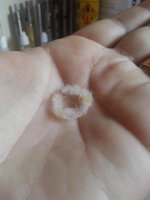 20140423_093155.jpg