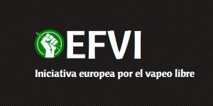 entrada-efvi.jpg