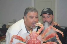 image.jpg