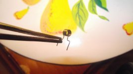 DSCF1108.jpg