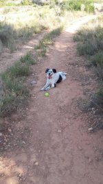 IMG-20160705-WA0006.jpg