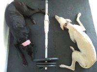 IMG-20160701-WA0000.jpg