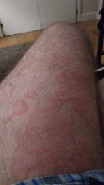 IMG_20170404_174147.jpg