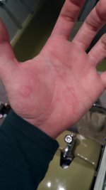 IMG_20170404_174215.jpg IMG_20170404_174215.jpg