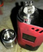 20170505_030156_crop_453x546.jpg