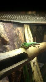 IMG_7638.jpg