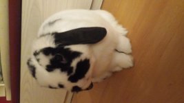 20160515_212909.jpg