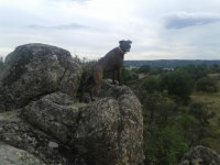 20170513_190306.jpg