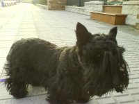 DSC00028.jpg