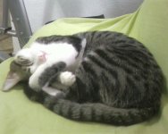 Foto0002.jpg