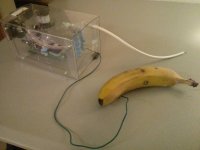 bananavape.jpg