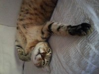 20140802_190547.jpg