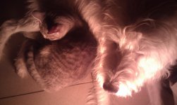 IMAG0057.jpg