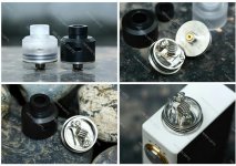 Arctic-Dolphin-Crea-BF-RDA_02_f28df0-1.jpg Arctic-Dolphin-Crea-BF-RDA_02_f28df0-1.jpg