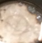 B1395AFF-26BE-412D-A1C9-E0D45AD31F54.jpeg