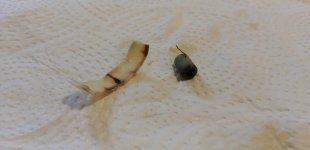 IMG-20190510-WA0018.jpg