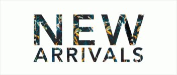 New Arrival.jpg