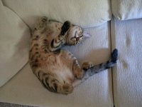 20131010_131640.jpg