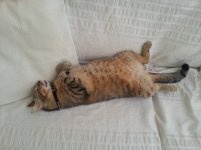 20140620_103655.jpg