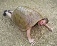 increible-hombre-tortuga.jpg