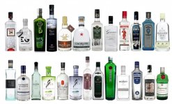 25-gins-1024x624.jpg