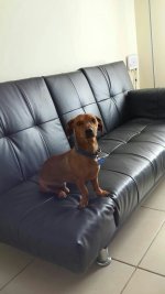 uploadfromtaptalk1410174021738.jpg