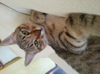 20130922_093245.jpg