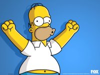 hi3buctfgqv5fga8e84b3088798003d_homer-alegre_m.jpg
