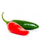 istock_000007966959small4.jpg