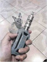 ImageUploadedByTapatalk1418439382.422716.jpg