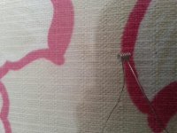 20150125_120224.jpg