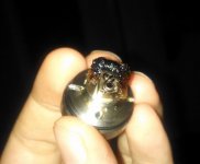 coil.jpg