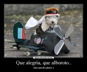 piloto.jpg