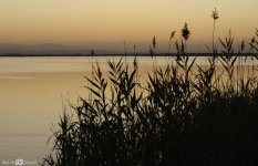 DSC_0186.jpg
