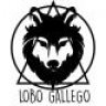 Lobo Gallego