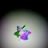 agomez