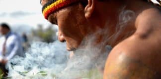 Tabaco y nicotina: Lo ritual que regresa en la modernidad