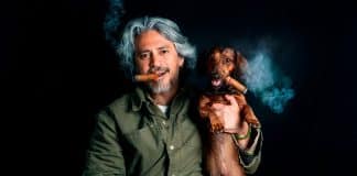 Los riesgos del humo del cigarrillo para tu mascota