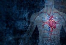Estudio encuentra que el vapeo no añade riesgos adicionales al sistema cardiovascular