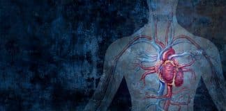 Estudio encuentra que el vapeo no añade riesgos adicionales al sistema cardiovascular