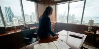 El síndrome Roa: Patrimonio, poder y el límite difuso del interés público El síndrome Roa: Patrimonio, poder y el límite difuso del interés público