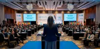 El Síndrome Roa: La consagración y los expedientes El Síndrome Roa: La consagración y los expedientes