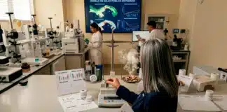 El síndrome Roa: La medida del daño El síndrome Roa: La medida del daño