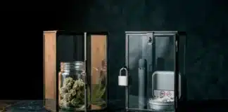 El cannabis escapó de su pasado; la nicotina, no El cannabis escapó de su pasado; la nicotina, no